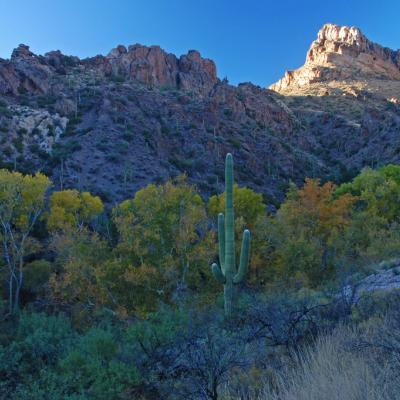 Redfield Canyon in the Galiuro Mountains
